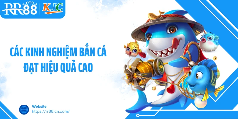 Các kinh nghiệm bắn cá đạt hiệu quả cao