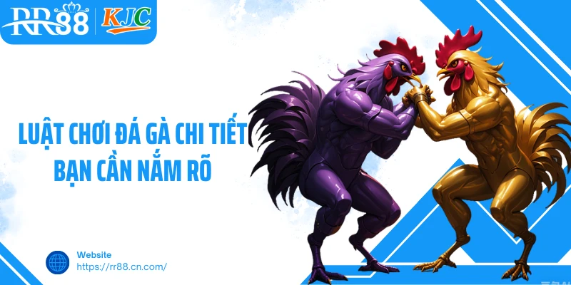 Luật chơi đá gà chi tiết bạn cần nắm rõ