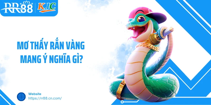 Mơ thấy rắn vàng mang ý nghĩa gì?