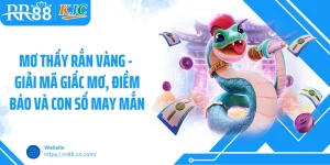 Mơ Thấy Rắn Vàng - Giải Mã Giấc Mơ, Điềm Báo Và Con Số May Mắn